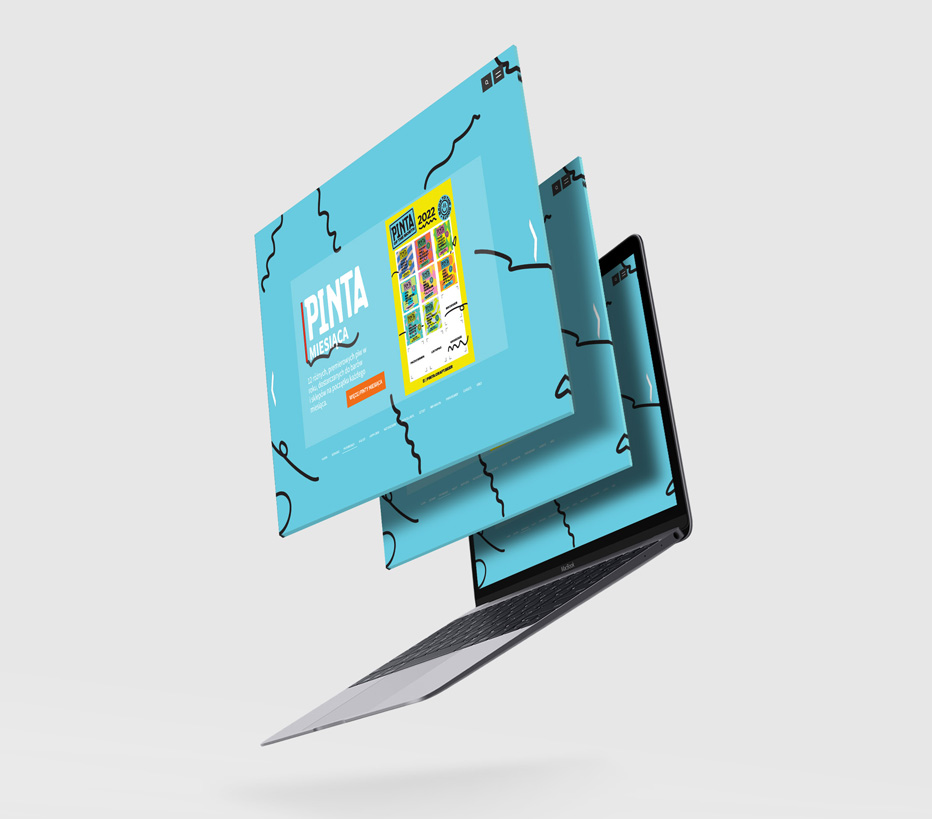 Widok desktopowej wersji sklepu internetowego Pinta